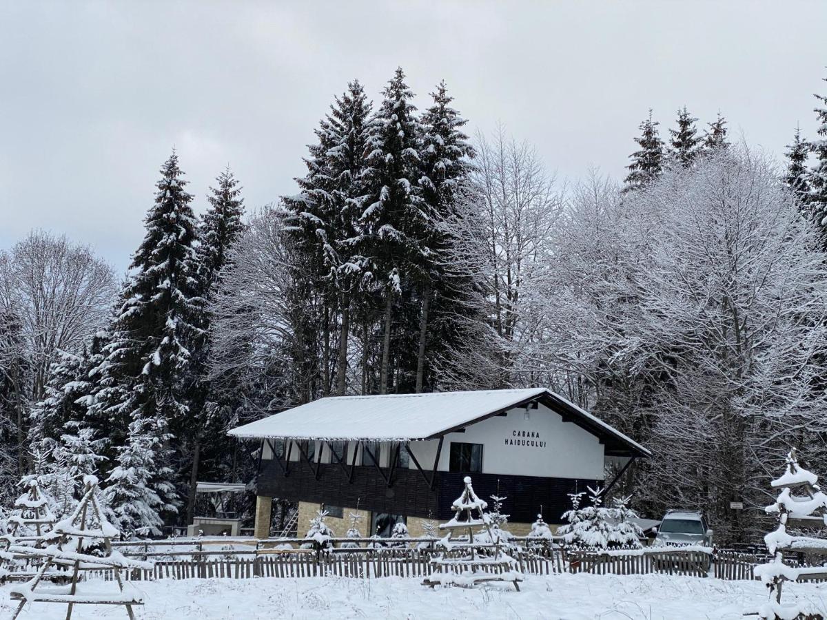 Cabana Haiducului Tesila Exterior photo