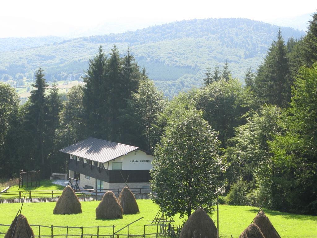 Cabana Haiducului Tesila Exterior photo